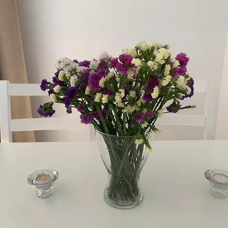 Chinasolymar Luxury - Con Parking 公寓 阿尔姆尼卡